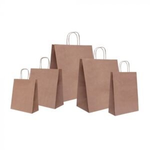 10 BOLSAS KRAFT 23x22x17cm